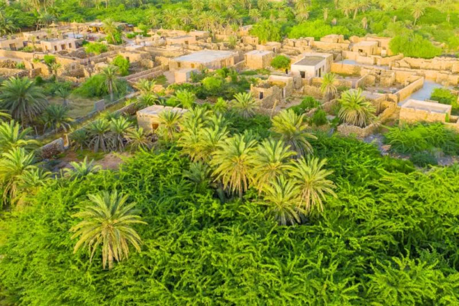 نجحت السعودية في تسجيل العديد من المواقع في قائمة اليونيسكو للتراث العالمي ضمن جهود حفظها والتعريف بها