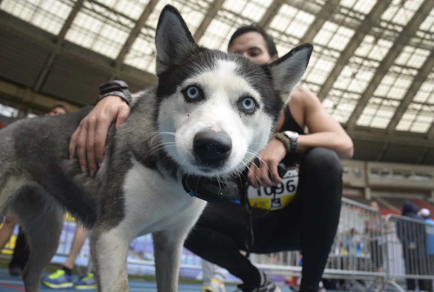 A man poses with his dog after both of them took part in the Moscow marathon race on September 15, 2013. Some 6,000 people took part in the race. (AFP/Getty Images)