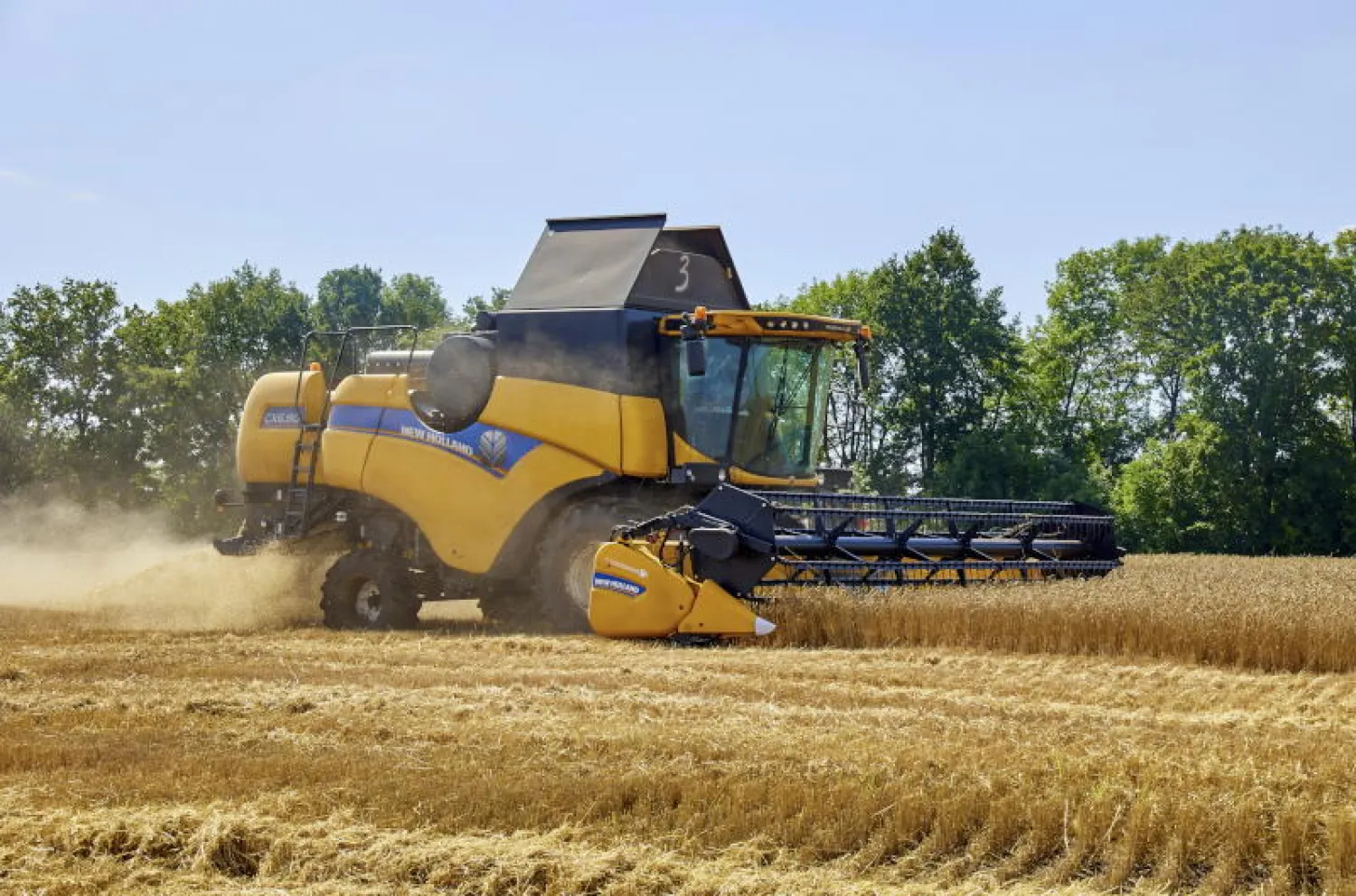 خلال حصد القمح في حقل بالقرب من خاركيف (إ.ب.أ)