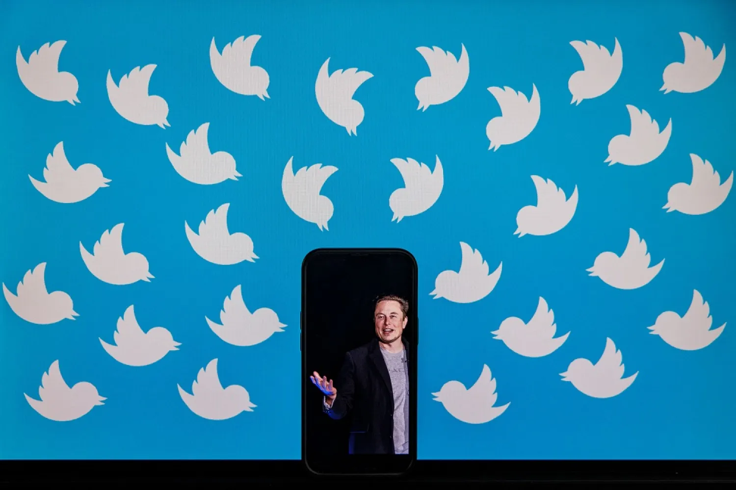 This illustration photo taken on August 5, 2022 shows a cellphone displaying a photo of Elon Musk placed on a computer monitor filled with Twitter logos in Washington, DC. (AFP)