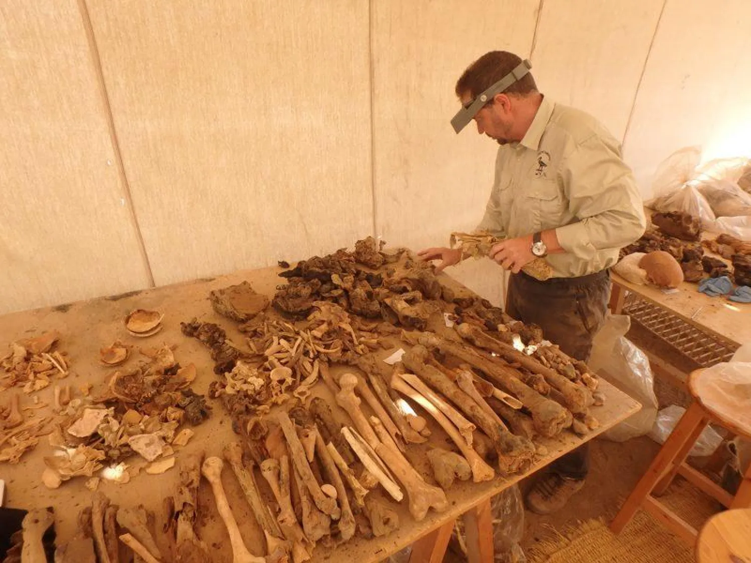 الباحث الإسباني أثناء فحص عينات من مقبرة منتومحات (TT34) (صفحة البعثة الإسبانية في الأقصر على فيسبوك)