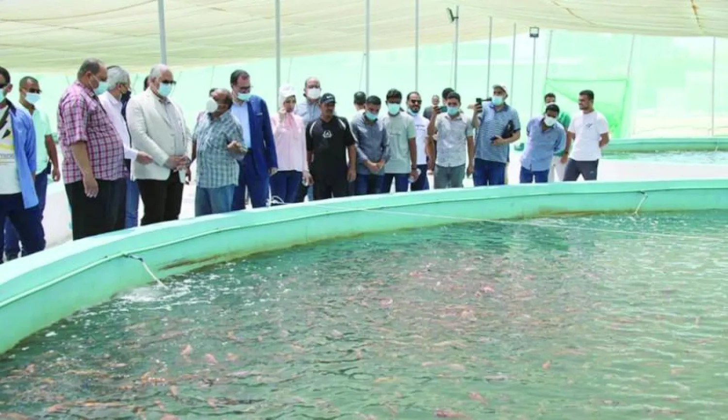 المفرخ السمكي بمحافظة الاسكندرية (مجلس الوزراء المصري)