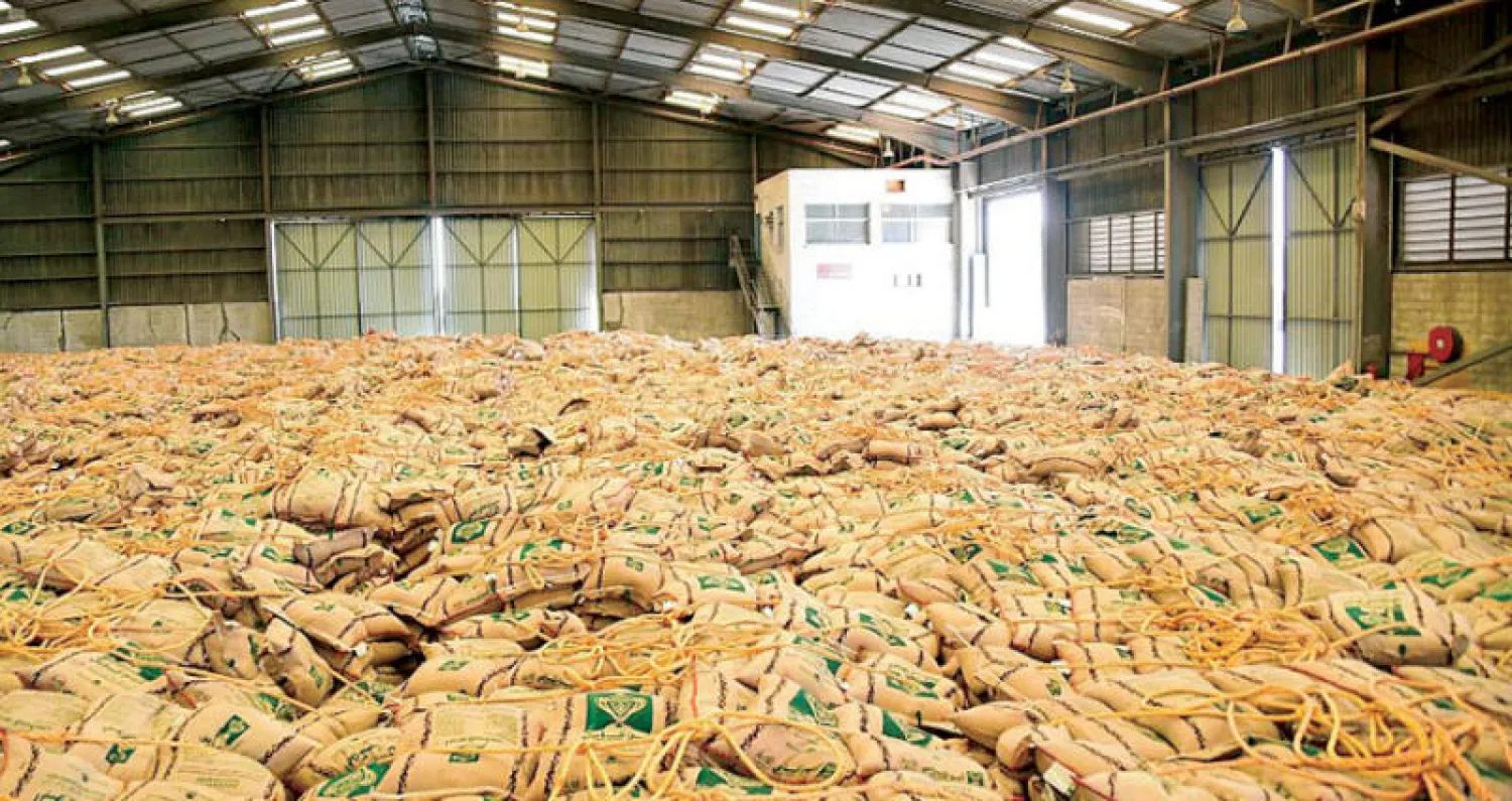 الأرز من أكثر السلع الغذائية استهلاكاً في السعودية ومنطقة الخليج (الشرق الأوسط)