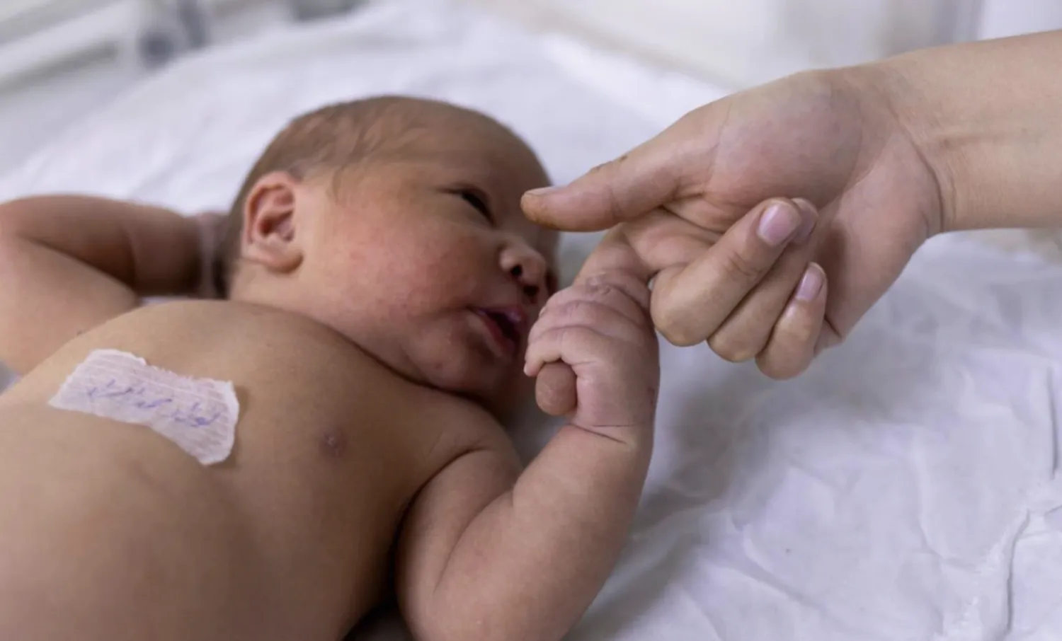 الإضراب يحرم مواليد لبنان من أوراقهم الثبوتية (أرشيفية-أ.ف.ب)