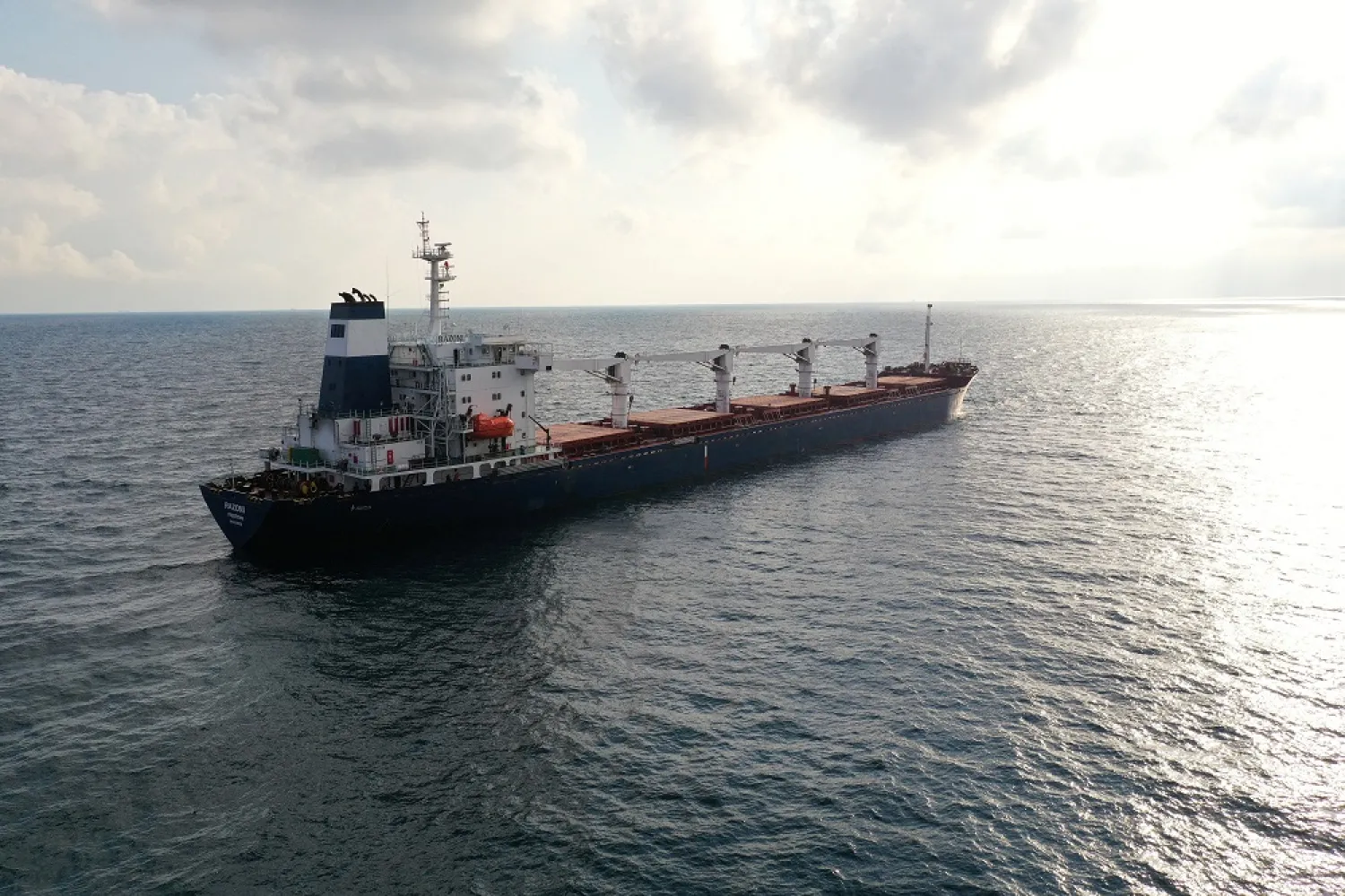The Sierra Leone-flagged cargo ship Razoni, carrying Ukrainian grain, is seen in the Black Sea off Kilyos, near Istanbul, Turkey August 3, 2022. (Reuters)