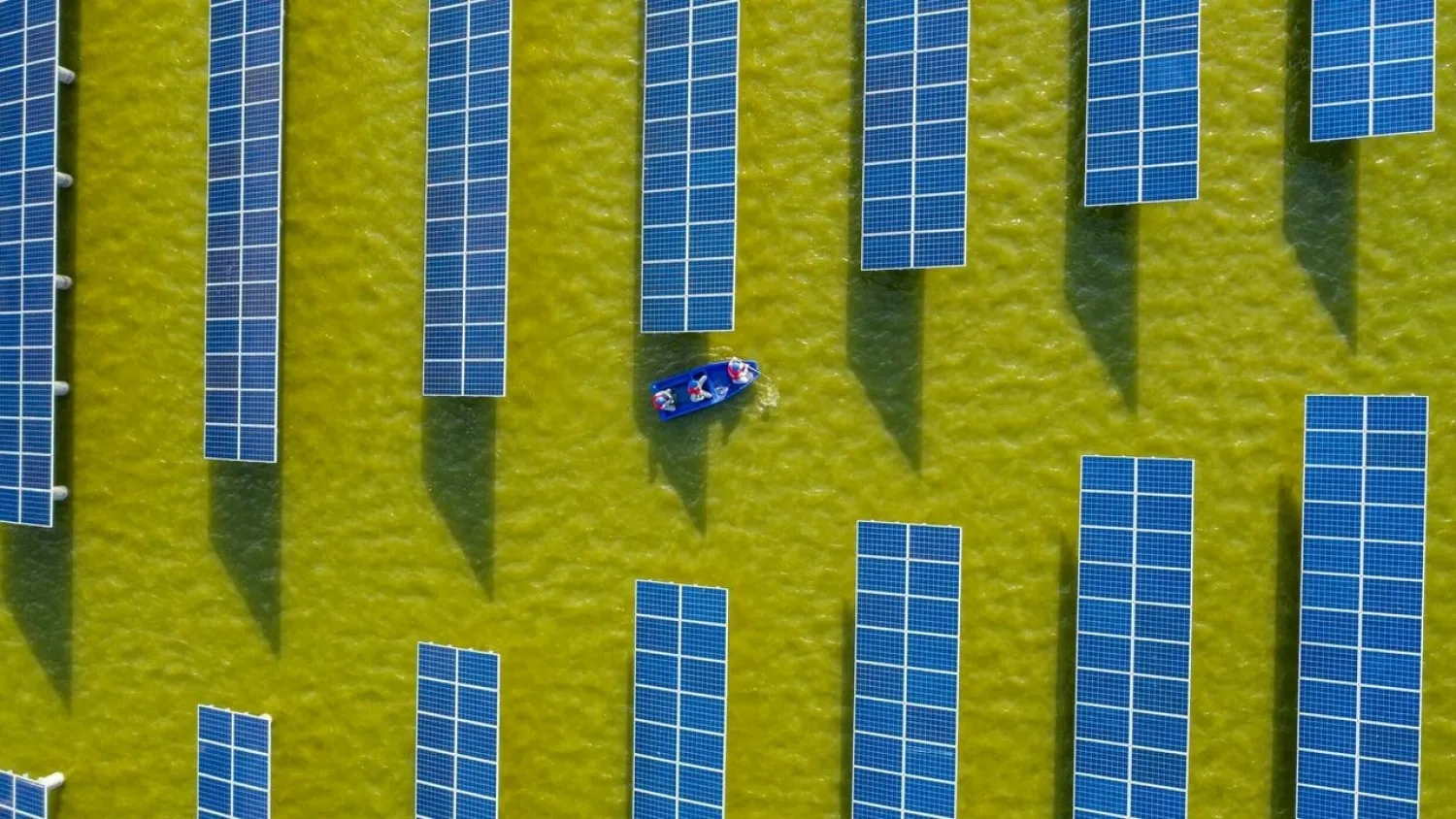 China is the world's biggest producer of solar technology STR AFP/File
