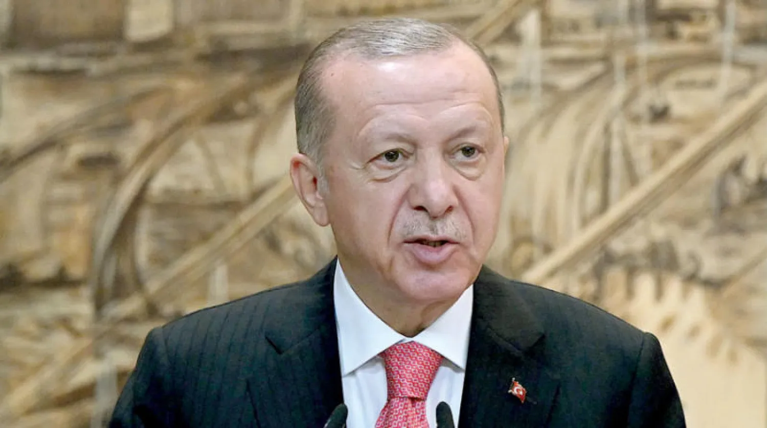 الرئيس التركي رجب طيب إردوغان (أ.ف.ب)