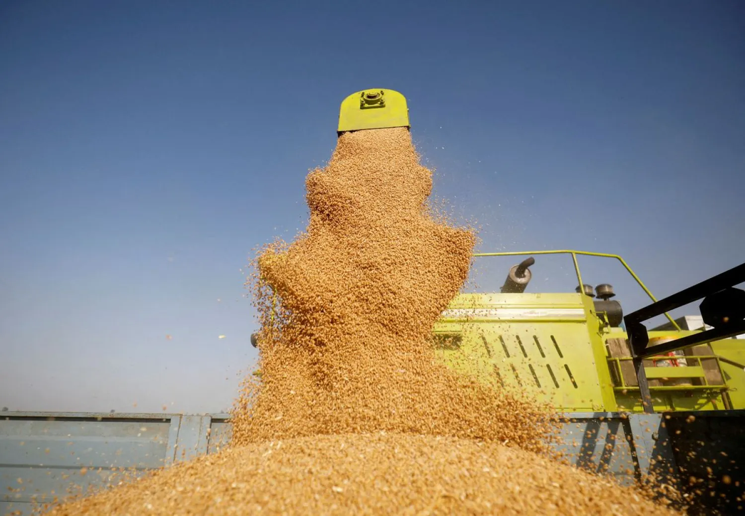 A combine deposits harvested wheat in a tractor trolley at a field on the outskirts of Ahmedabad, India, March 16, 2022. REUTERS/Amit Dave


