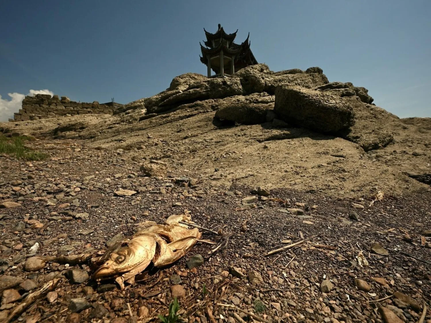 Southern China has recorded its longest sustained period of high temperatures and low rain "with the widest in scope and the highest average intensity since 1961" Noel Celis AFP
