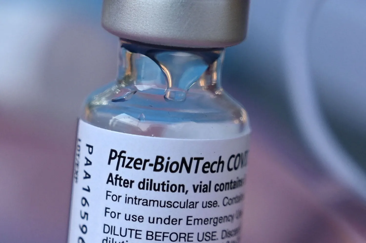 In this file photo taken on August 23, 2021, a vial of Pfizer/BioNTech Covid-19 vaccine is seen at a pop up vaccine clinic in the Arleta neighborhood of Los Angeles, California. (AFP)