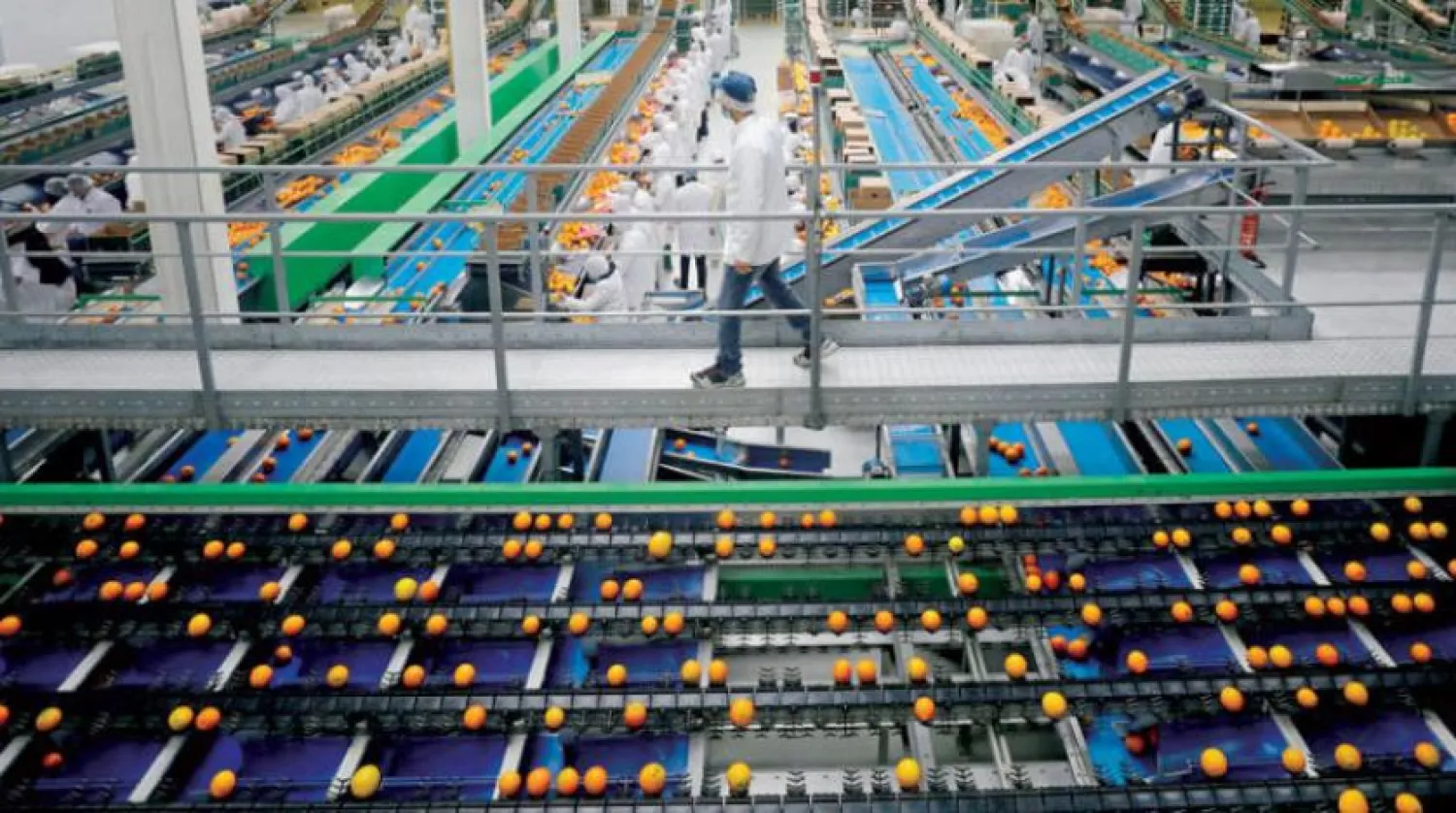 Egypt's economy grew 6.6 percent during the fiscal year 2021/2022. (Reuters)