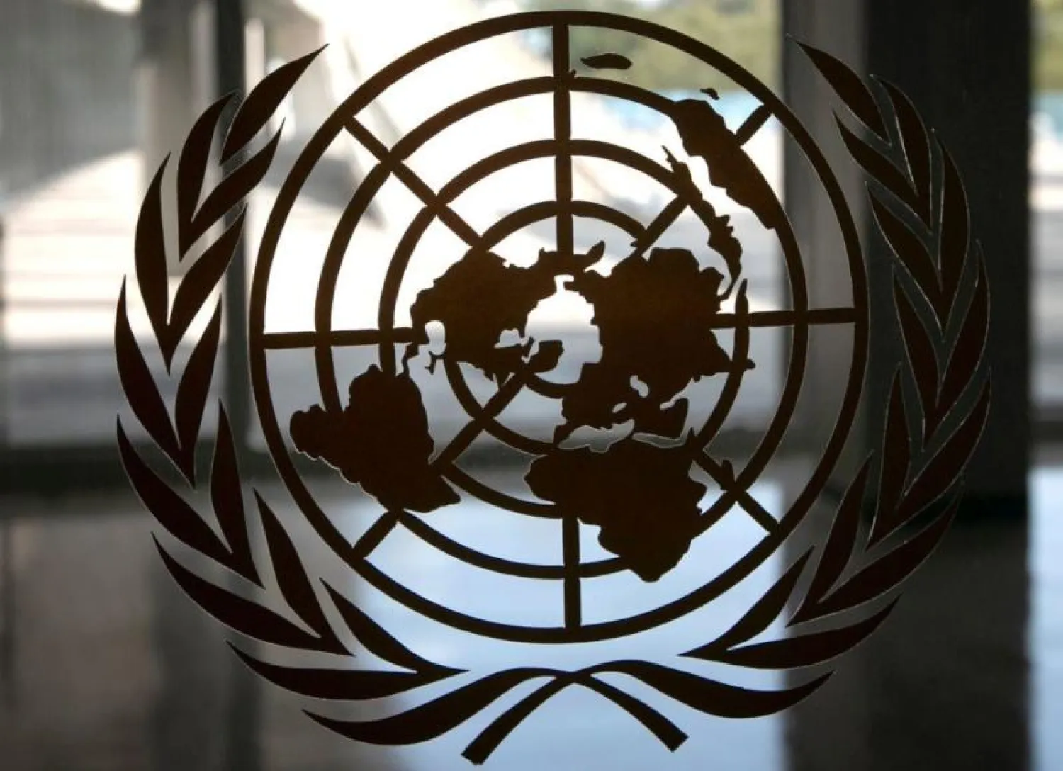 شعار الأمم المتحدة (رويترز)