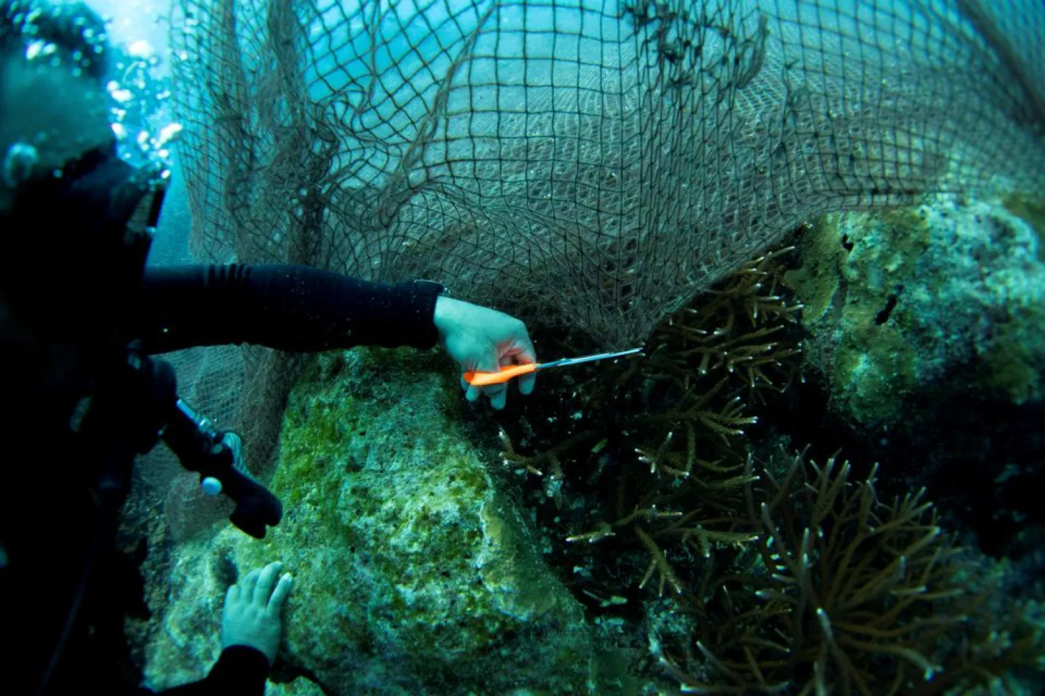 Divers take out of the sea an abandoned fishing net that was covering a coral reef in a protected area of Ko Losin, Thailand June 19, 2021. Picture taken June 19, 2021. REUTERS/Jorge Silva/File Photo