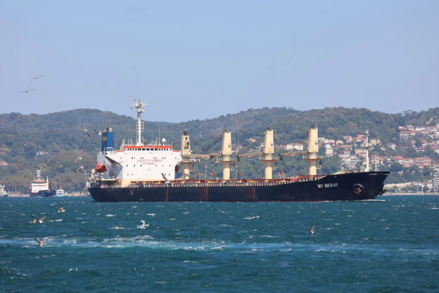 سفينة تحمل حبوباً أوكرانية تعبر البسفور (رويترز)