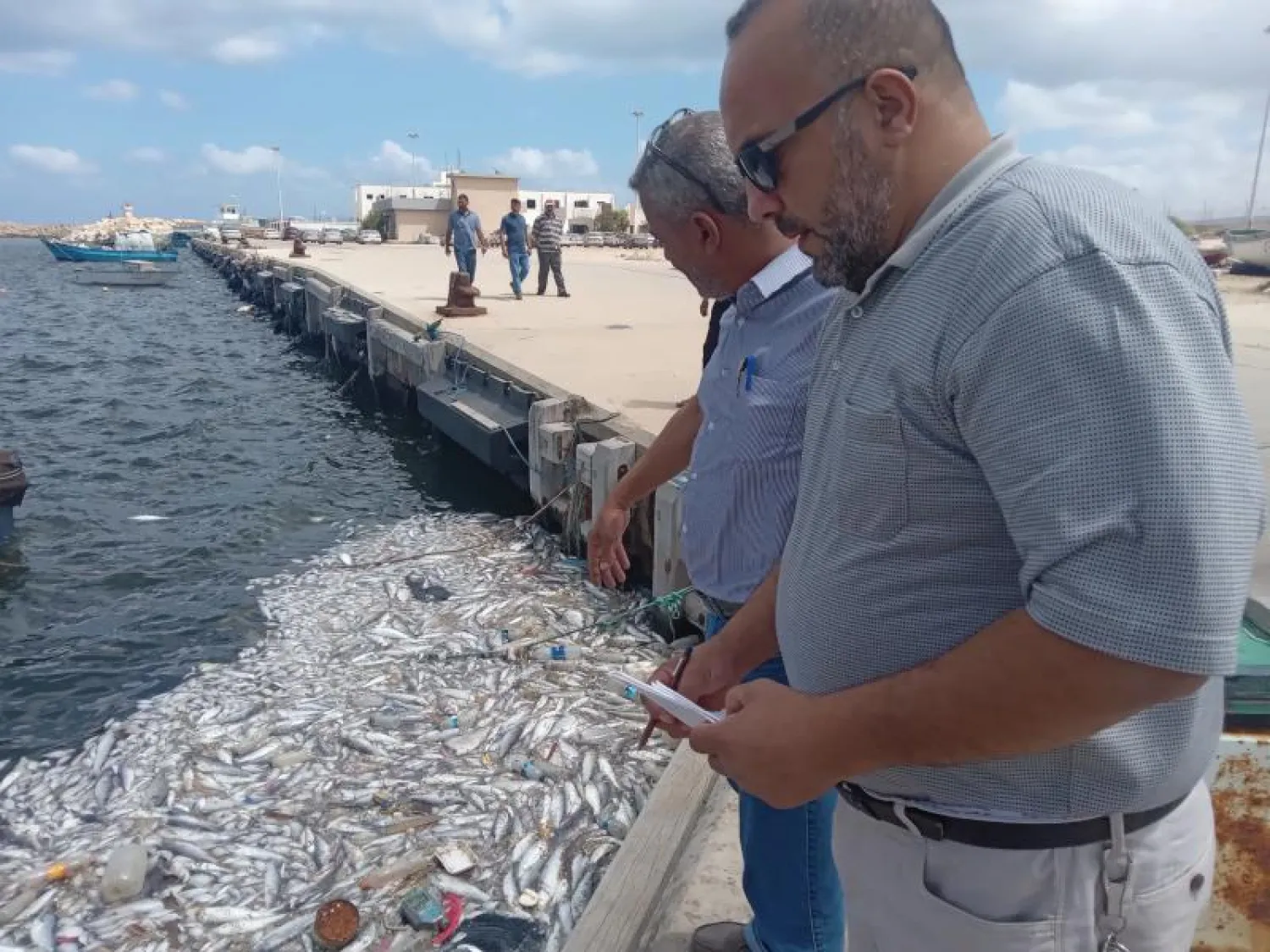 فريق البحثي بمنظمة العلوم والإحياء البحرية في ليبيا يبحث أسباب نفوق الأسماك في ميناء درنة