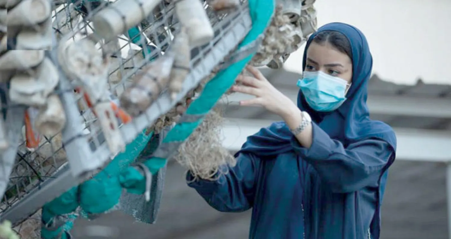 السعودية تدفع بعمليات إعادة التدوير والحفاظ على البيئة (الشرق الأوسط)