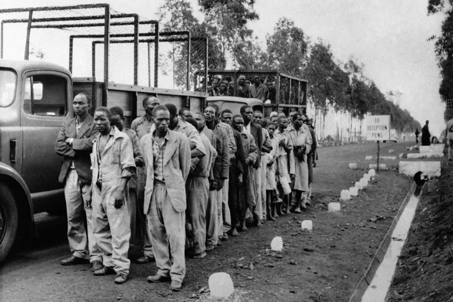 Two lorry loads transporting Kikuyu people arrive at a reception camp outside Nairobi, Kenya, on April 28, 1954, after 5,000 British troops and 1,000 armed police rounded up some 30,000 to 40,000 men for screening. (AP)
