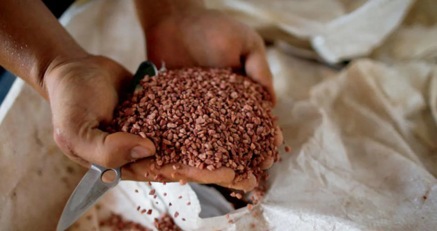 تعتزم الحكومة الروسية جعل تصدير الأسمدة أكثر تكلفة (رويترز)