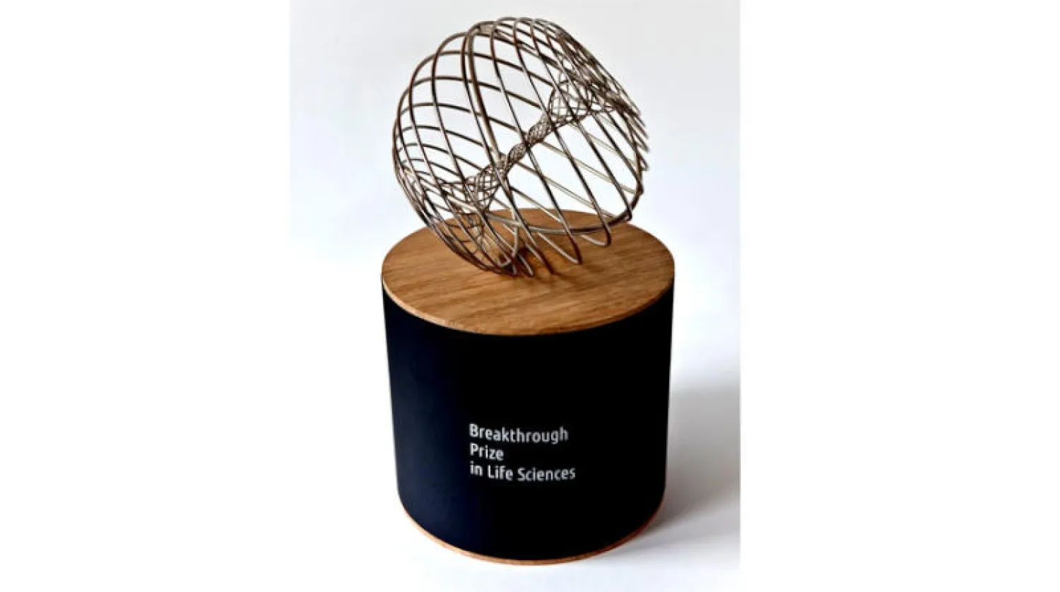 15 مليون دولار إجمالي جوائز «أوسكار العلم» لسنة 2023