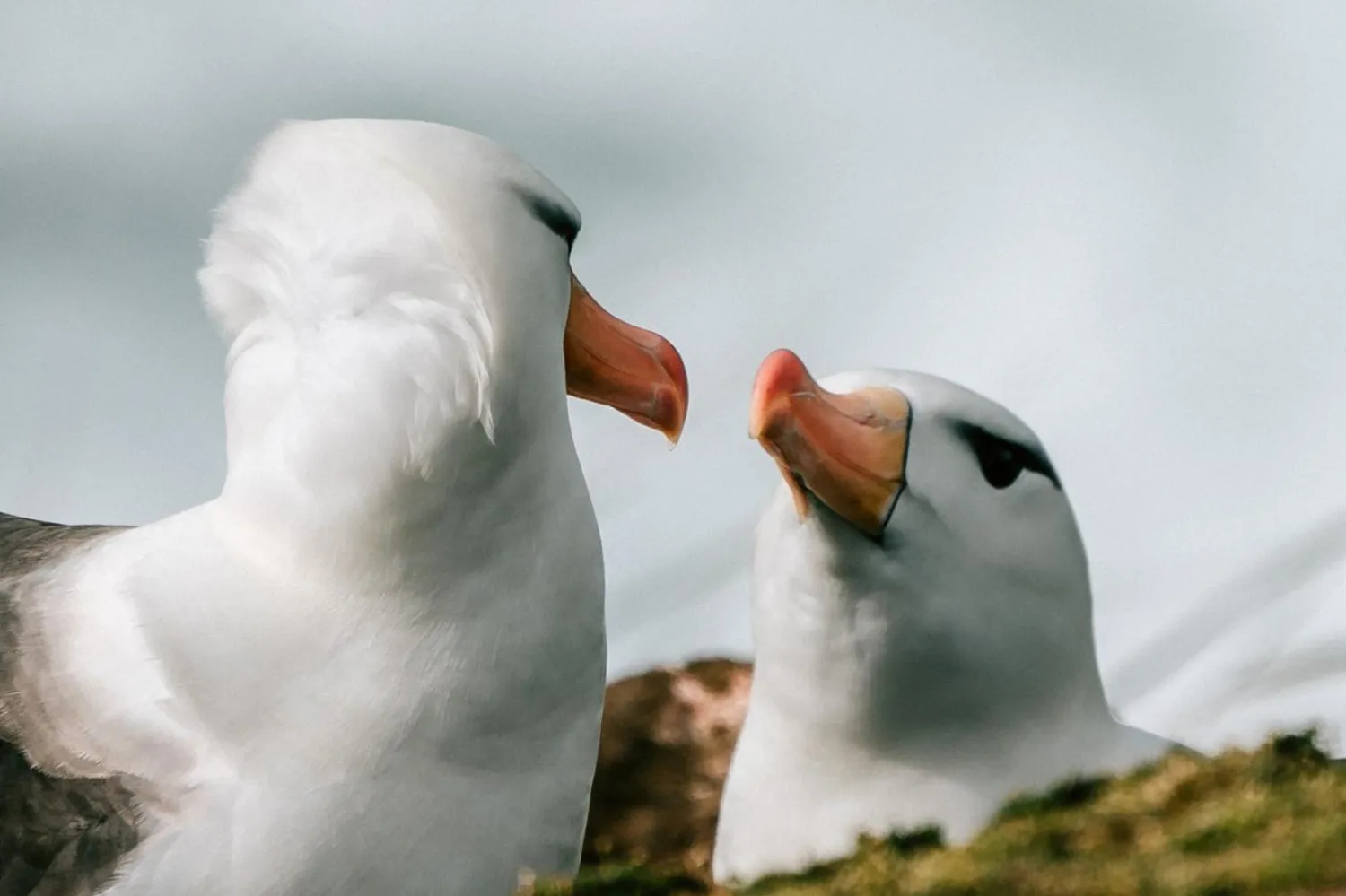 Fotoğraf: Unsplash