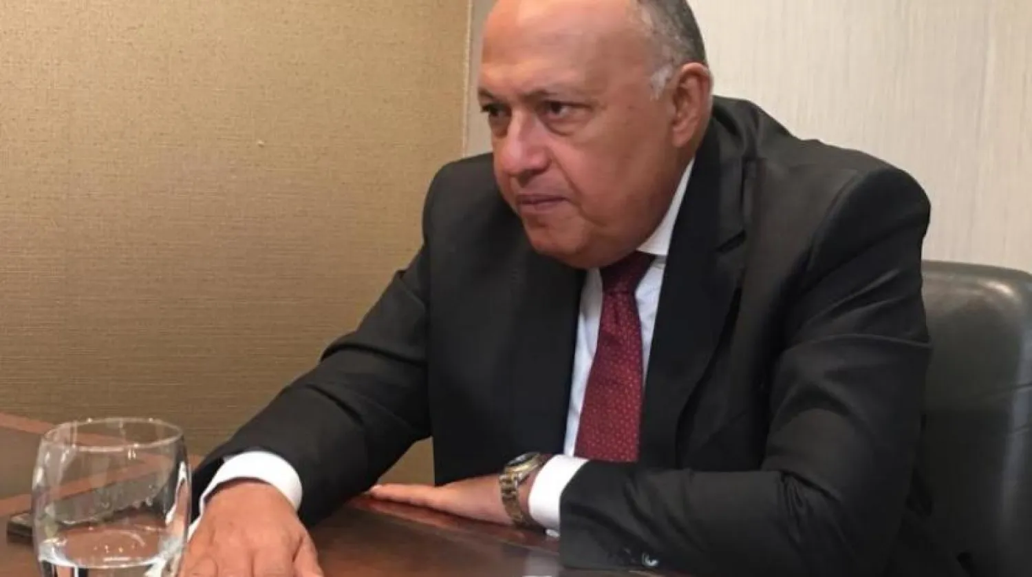 Mısır Dışişleri Bakanı Samih Şukri (Şarku’l Avsat)