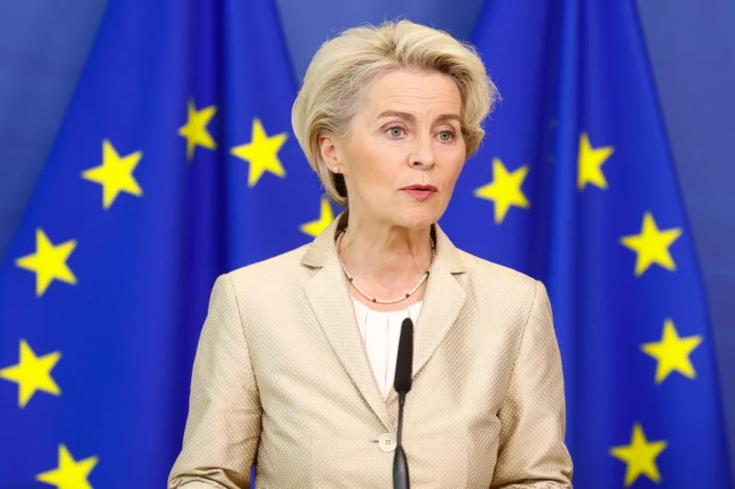 أورسولا فون دير لاين (إ.ب.أ)