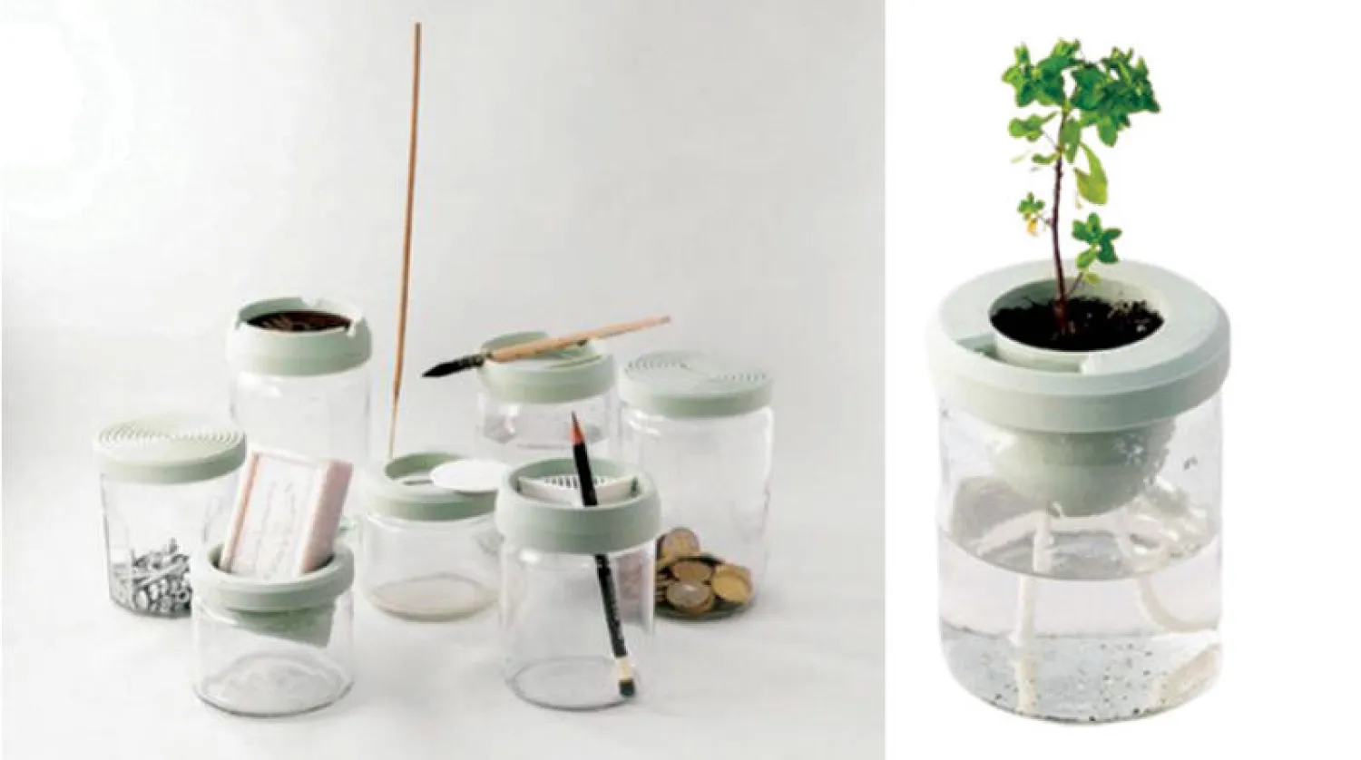 أغطية من البلاستيك الحيوي تطور وظائف الأواني الفارغة