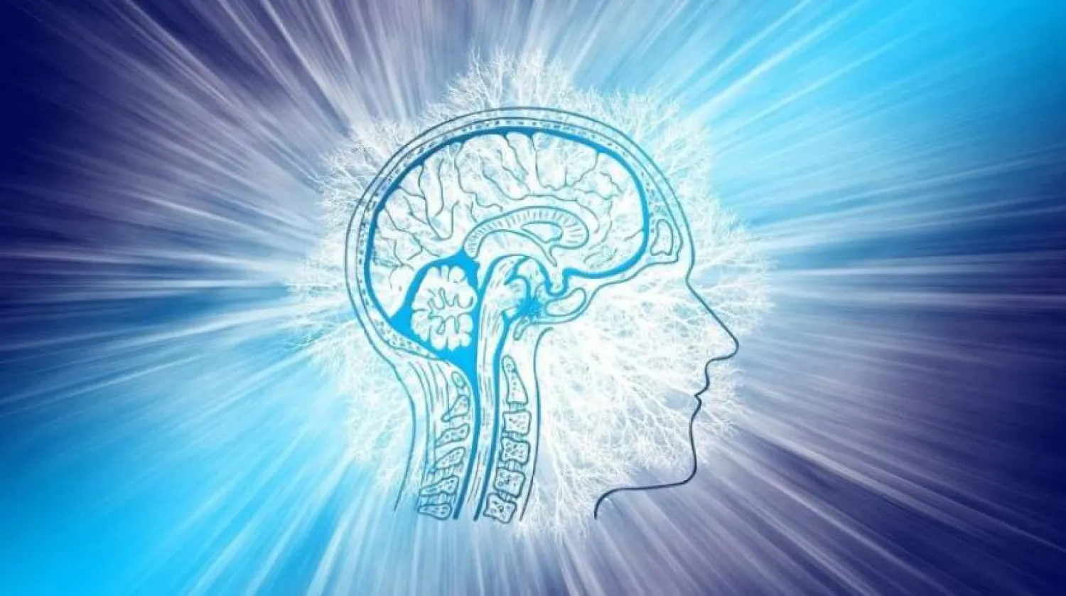 Hafızası iyi olan yaşlıların nöronlarındaki özel özellikler (Public Domain)