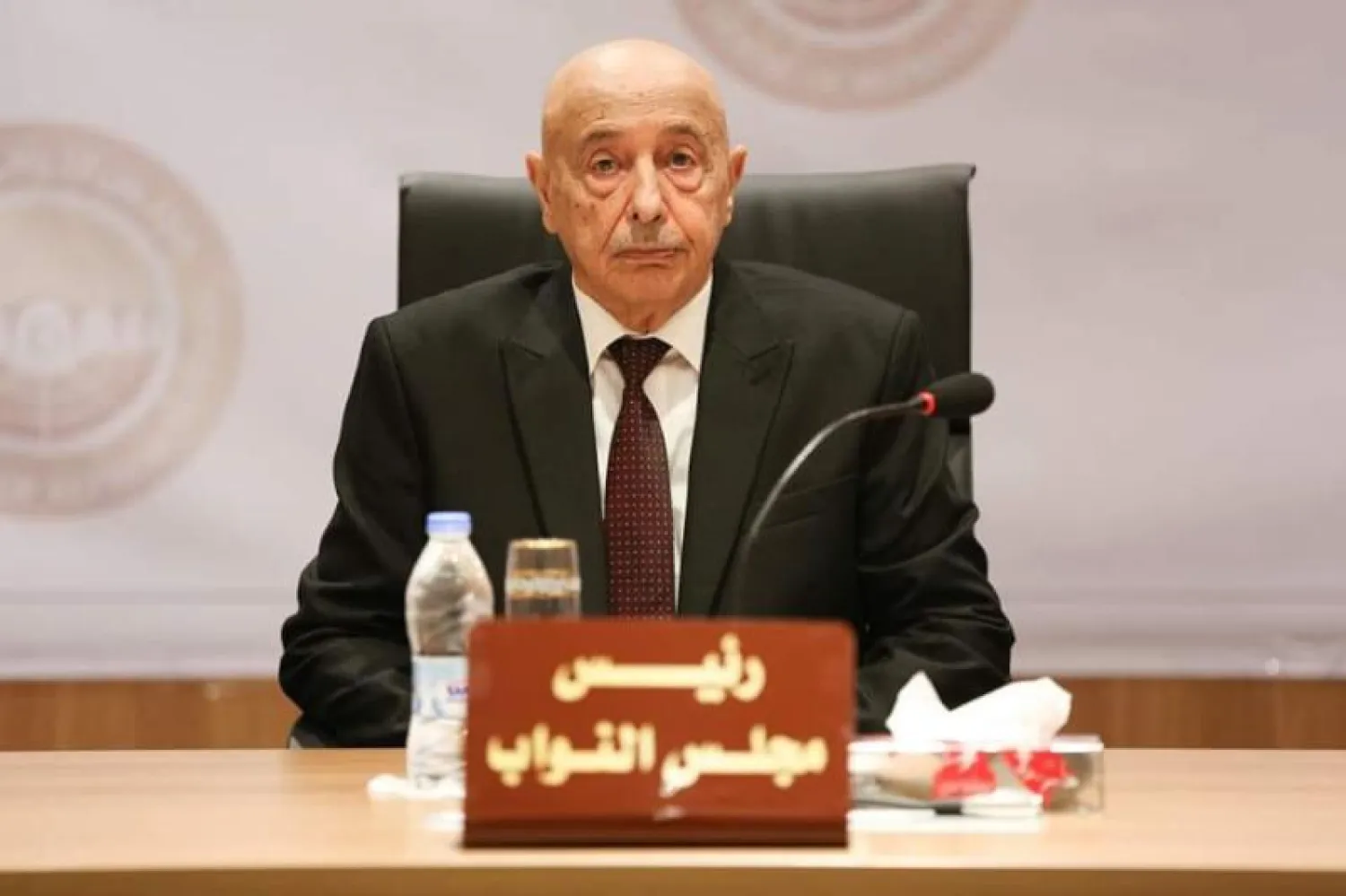 رئيس مجلس النواب الليبي عقيلة صالح