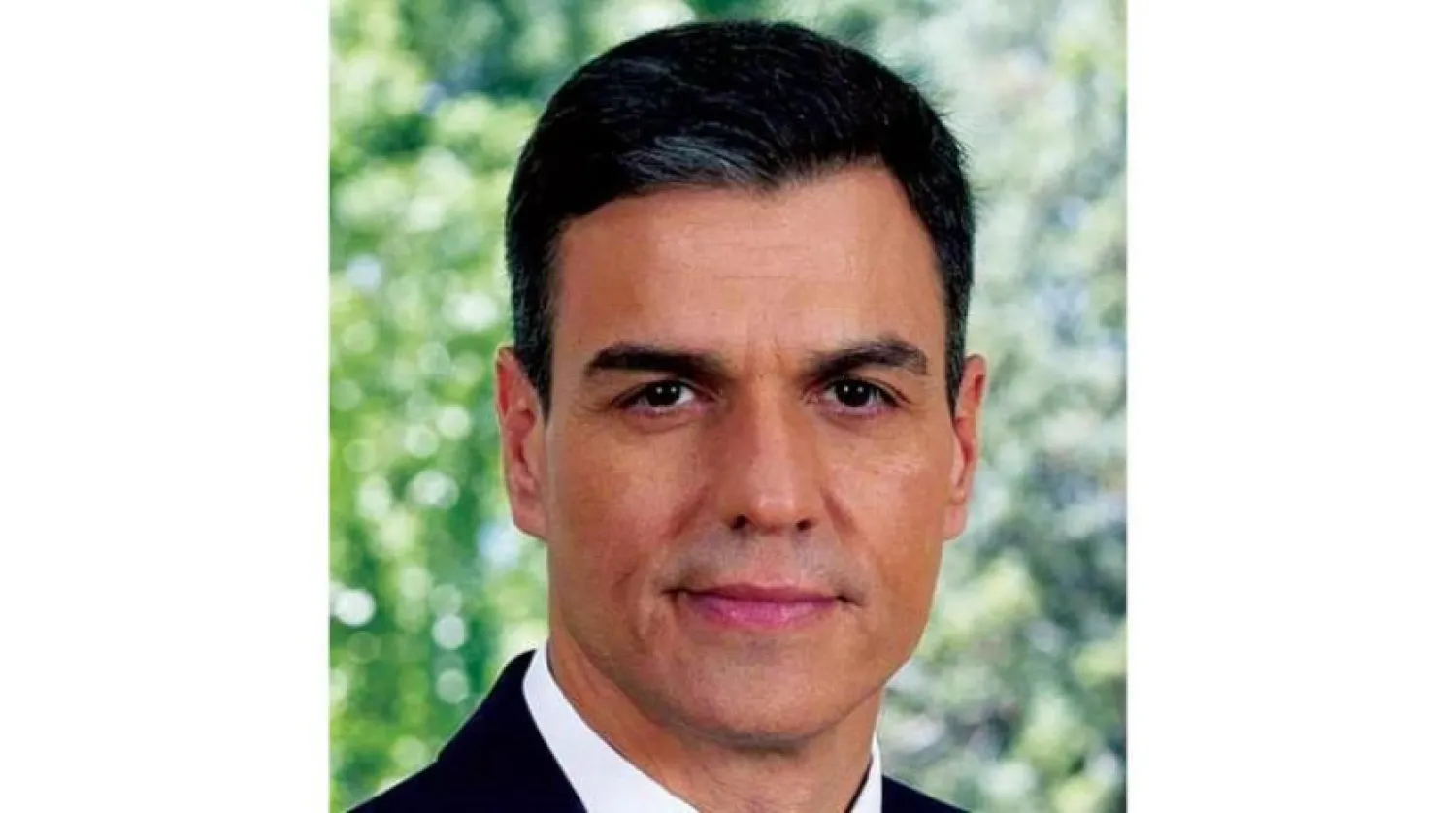  Spanish Prime Minister Pedro Sanchez (Asharq Al-Awsat)