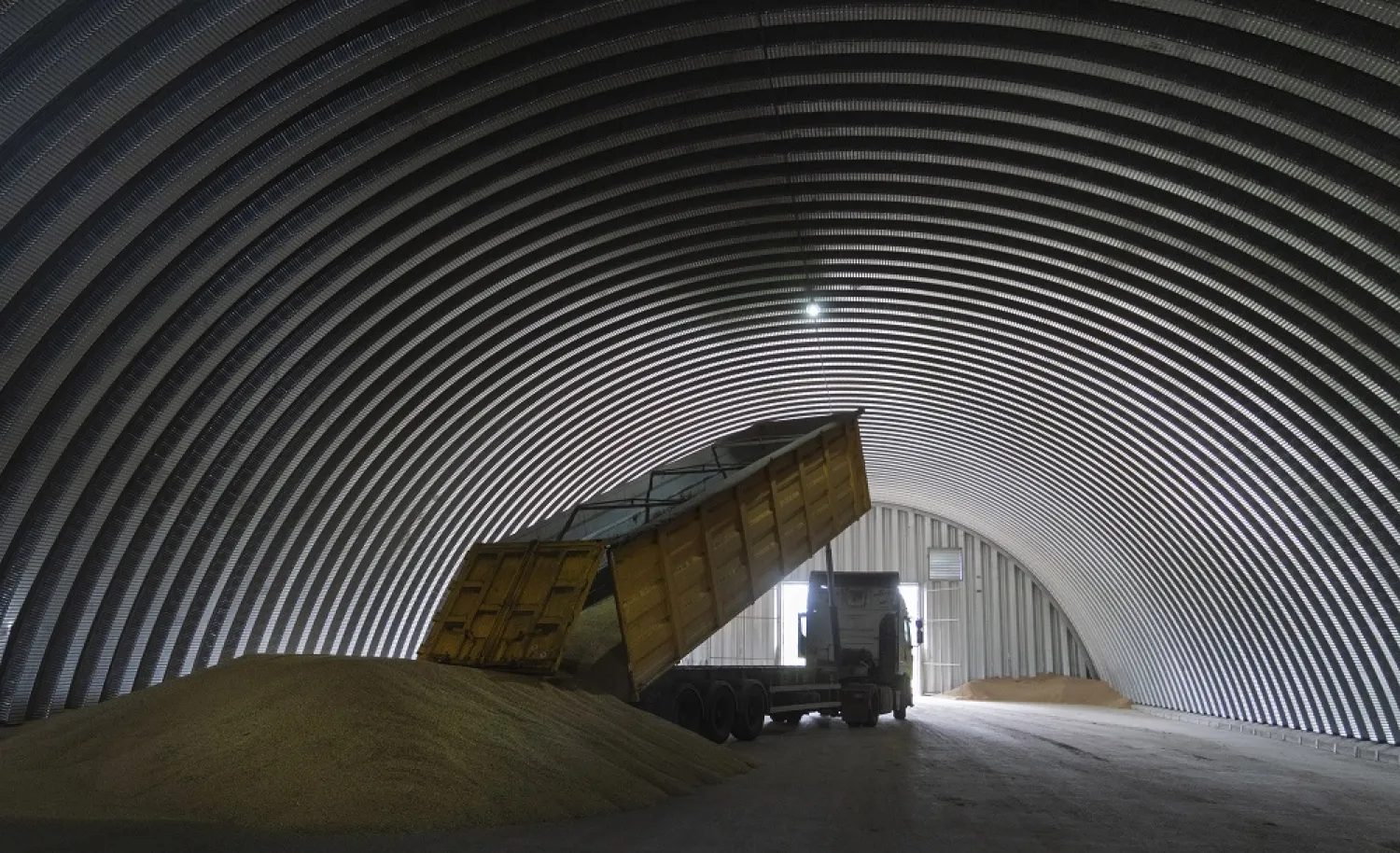 A dump track unloads grain in a granary in the village of Zghurivka, Ukraine, Aug. 9, 2022. (AP)
