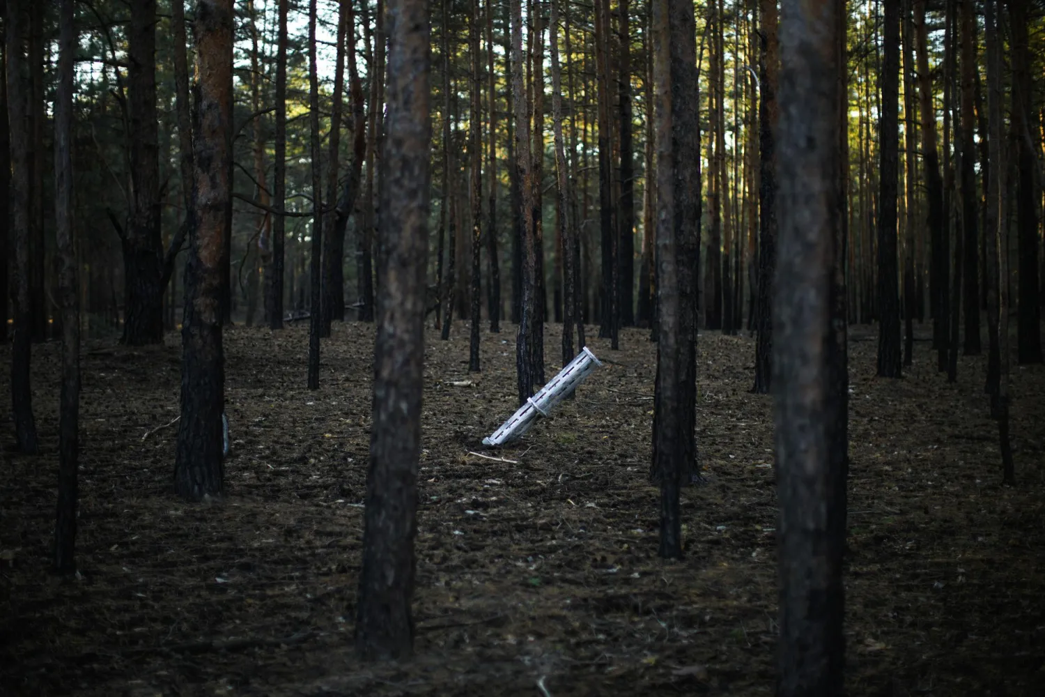 A Russian rocket sticks out of the ground in a forest near Oleksandrivka village, Ukraine, Thursday, Oct. 6, 2022. (AP Photo/Francisco Seco)
