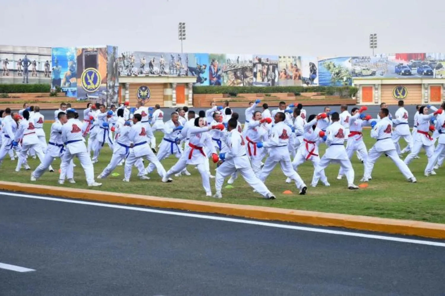 عناصر رجالية ونسائية من خريجي أكاديمية الشرطة المصرية خلال عرض مشترك (الرئاسة المصرية)