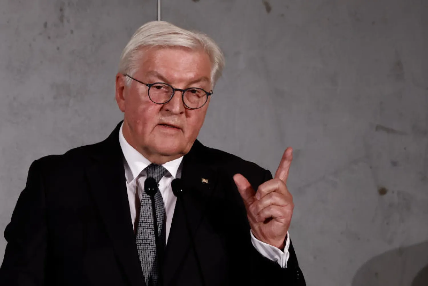 الرئيس الألماني شتاينماير (د.ب.أ)