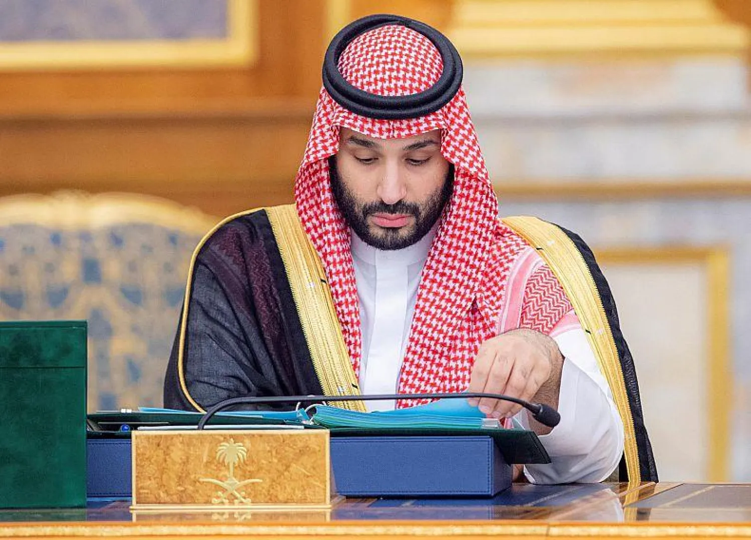 Saudi Crown Prince Mohammed bin Salman bin Abdulaziz (SPA)