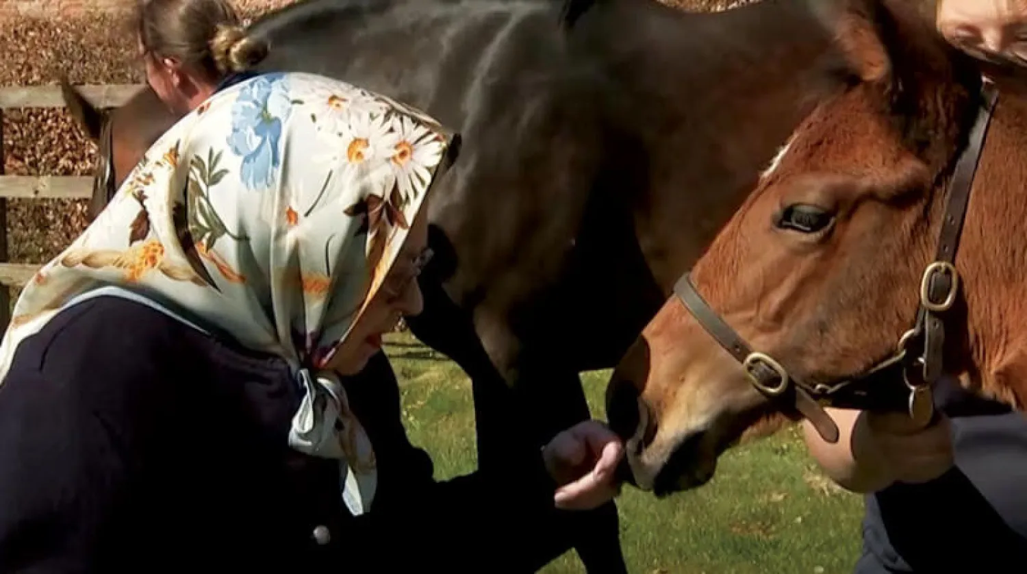 الملكة إليزابيث الثانية مع بعض خيلها