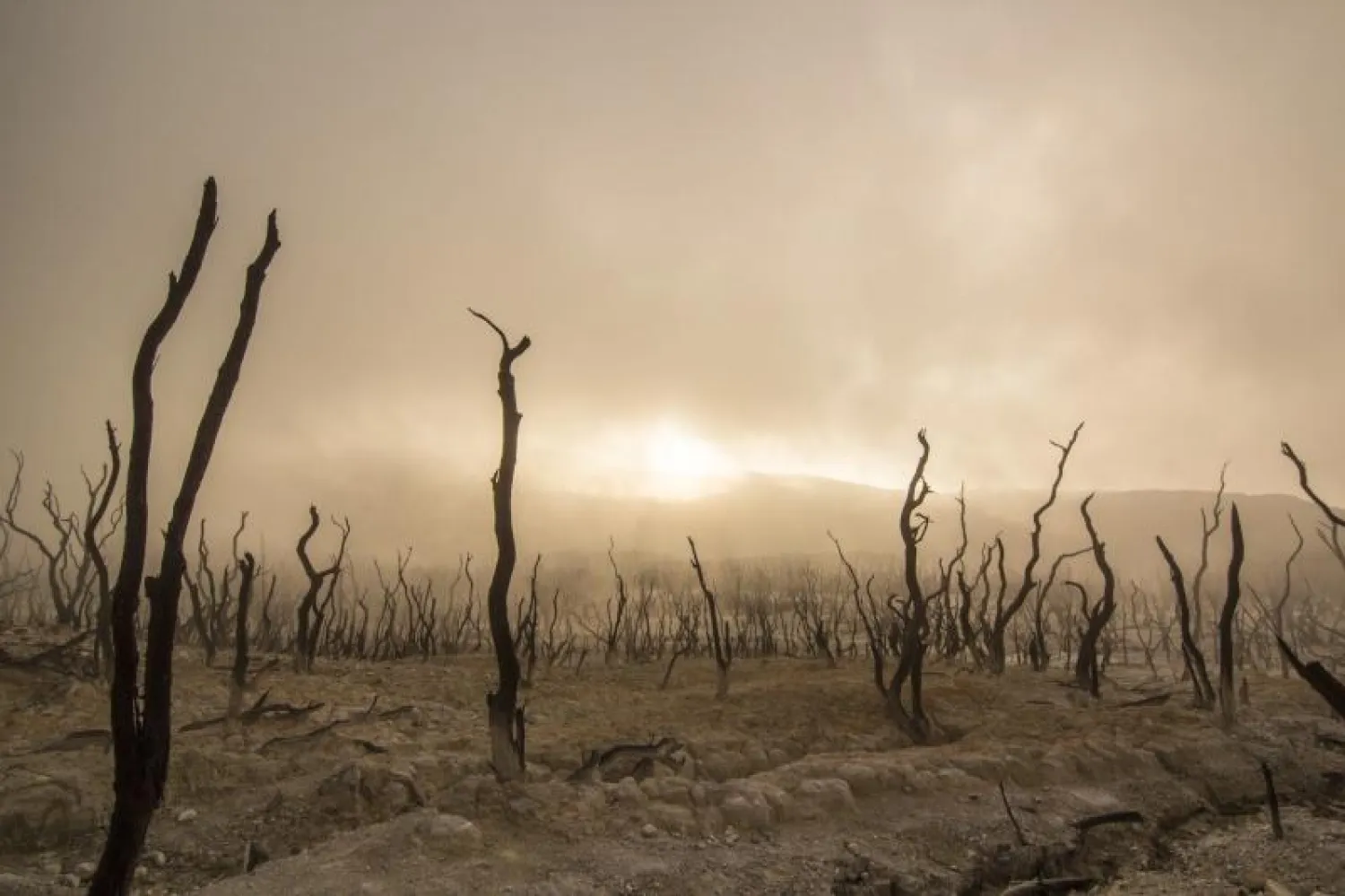 البشر يتحملون المسؤولية الأكبر للاحترار العالمي (أرشيفية)