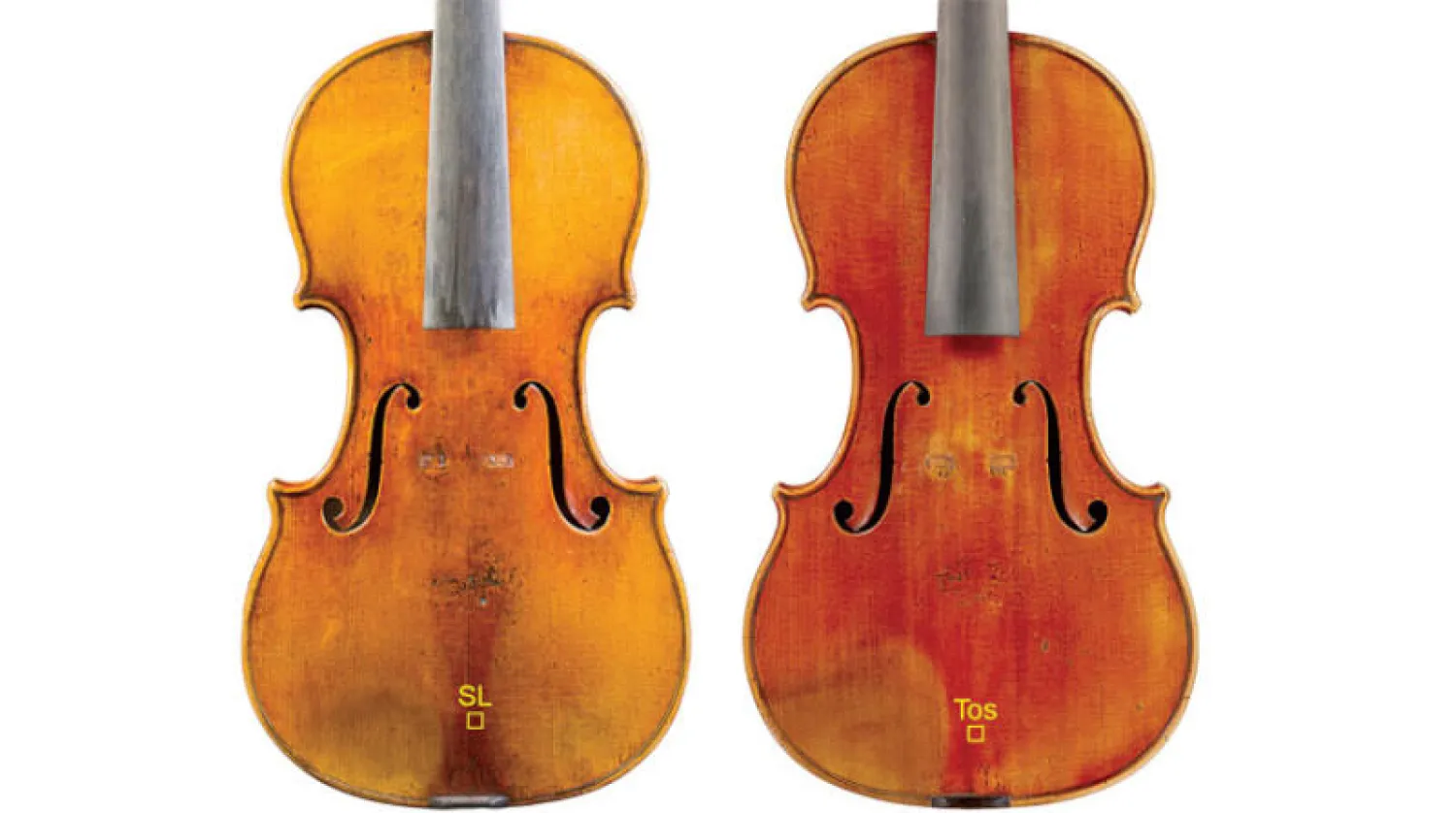 تقنية التصوير عالية الدقة كشفت وجود طبقة بروتينية بين الخشب والطلاء بهذه الآلات (الفريق البحثي)