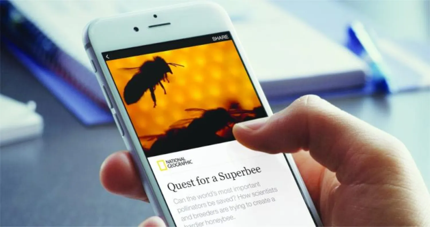 نموذج لخدمة «المقالات الفورية» (الموقع الرسمي لشركة «ميتا»)