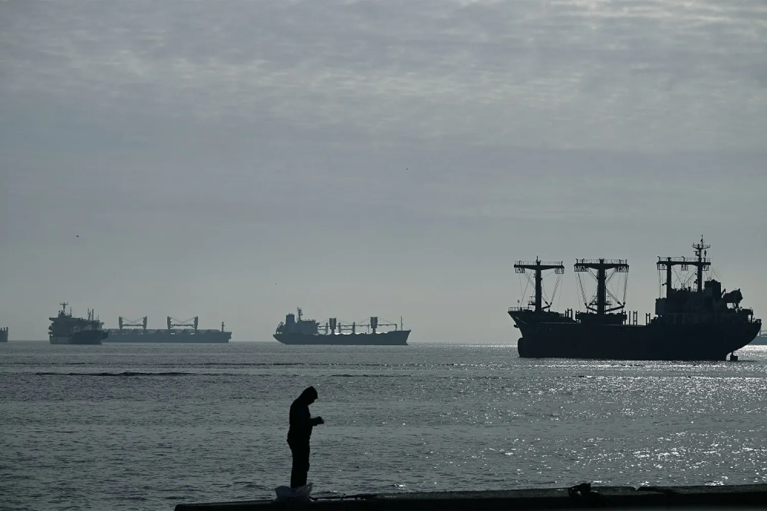 A photograph taken on October 31, 2022 shows cargo ships loaded with grain in the anchorage area of the southern entrance to the Bosphorus in Istanbul. (AFP)
