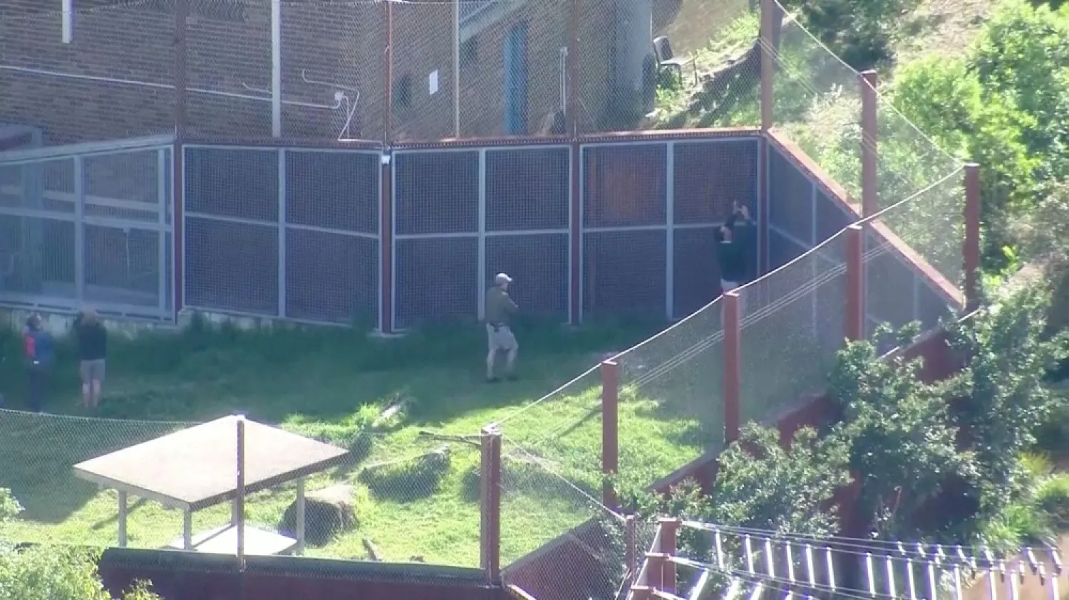 Zoo employees inspect the fences around a lion enclosure, after escaped lions were contained, at Taronga Zoo in Sydney, Australia, November 2, 2022 in this still image taken from video. (Reuters)