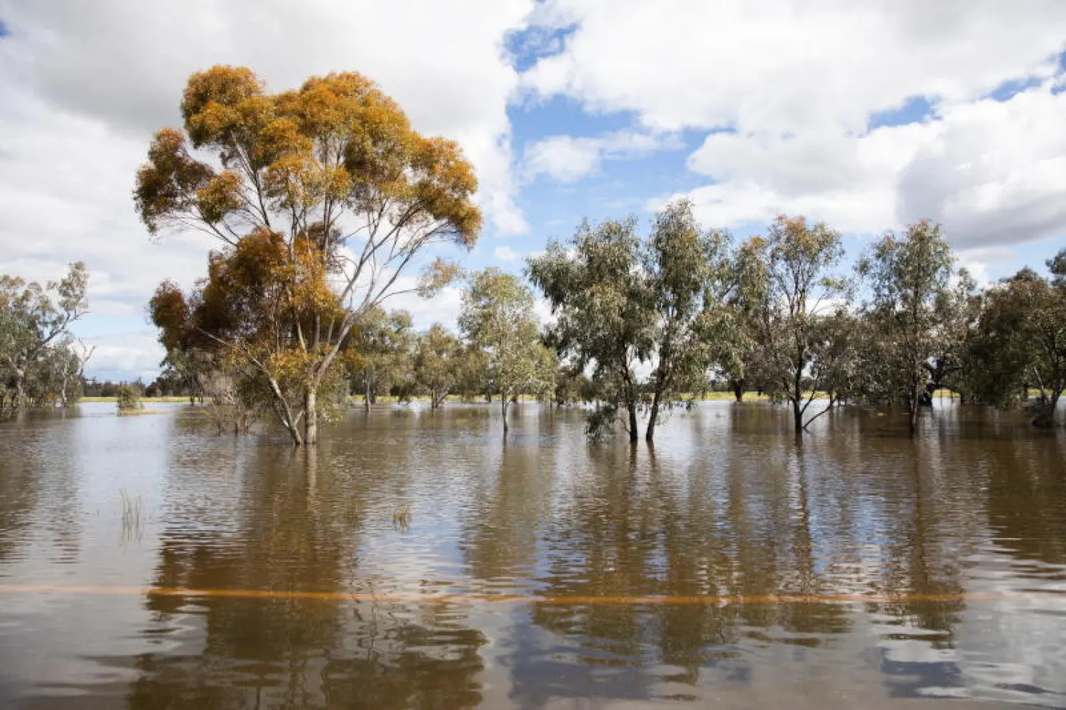 بداية الفيضانات في بلدة فوربس الأسترالية (إ.ب.أ)