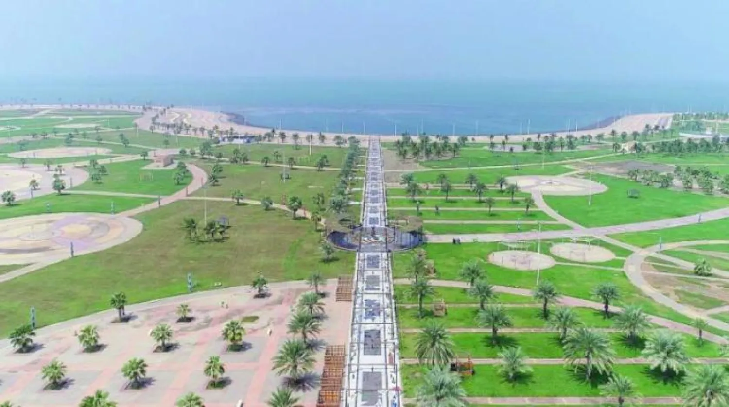 Saudi Arabia is making tangible international efforts to support afforestation, environmental sustainability, and climate conservation (SPA)