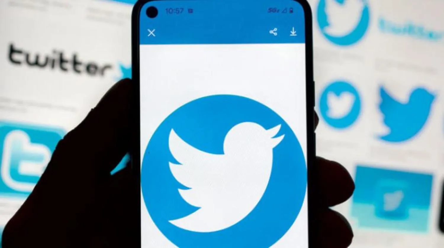 Twitter, sahte hesaplardaki artışın ardından resmi hesap doğrulama etiketlerini geri getirdi (AP)