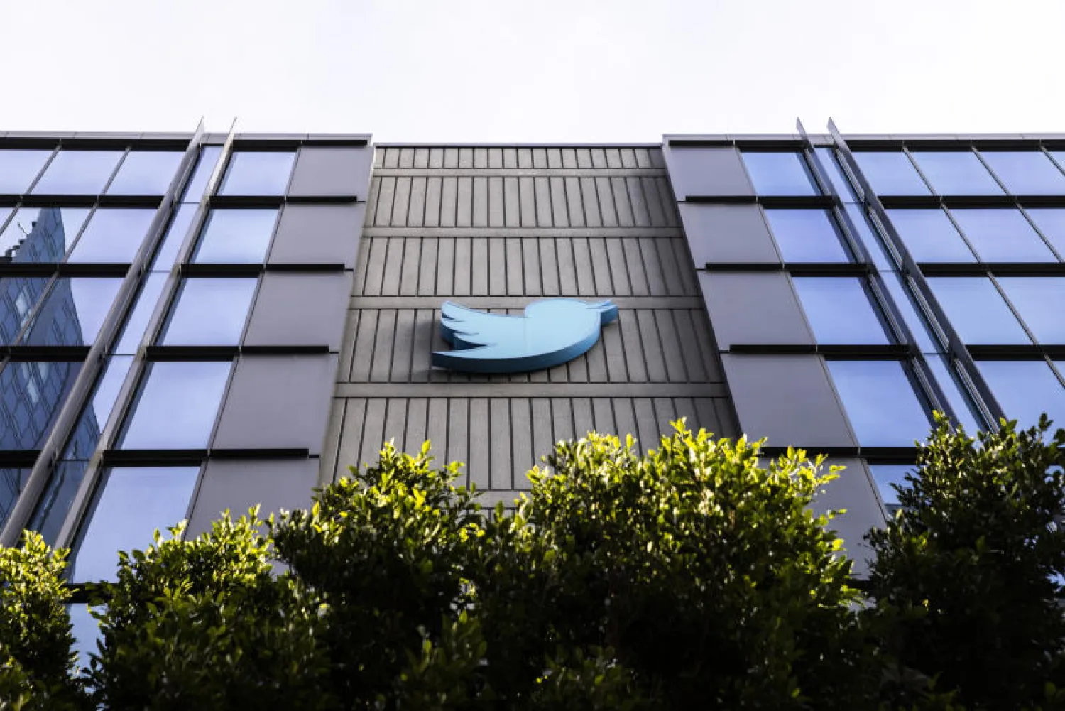 شعار تويتر على مقرها في سان فرانسيسكو (أ.ب)