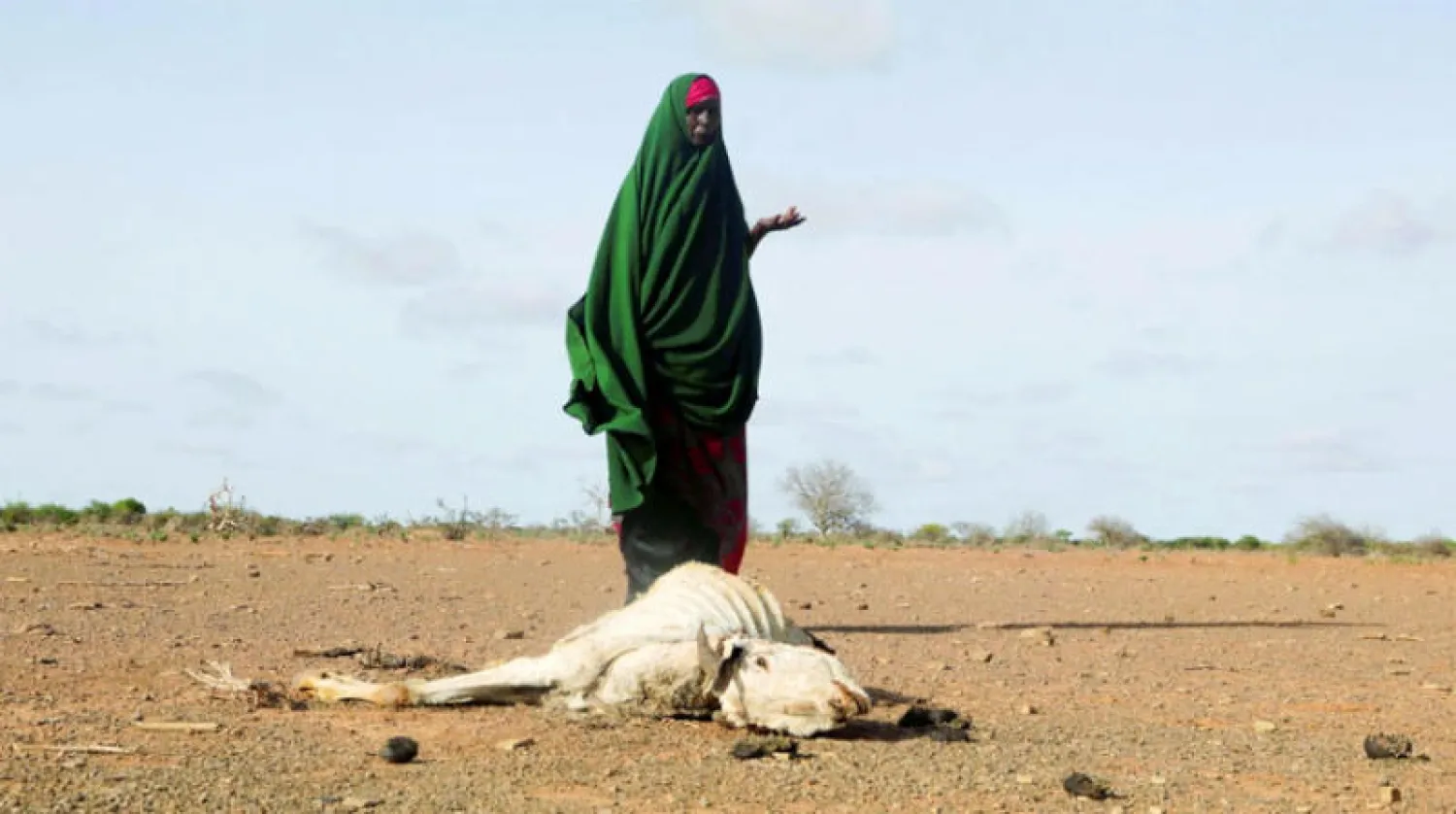 نازحة قرب جيفة حيوان في منطقة ضربها الجفاف في الصومال في 26 مايو الماضي (رويترز)