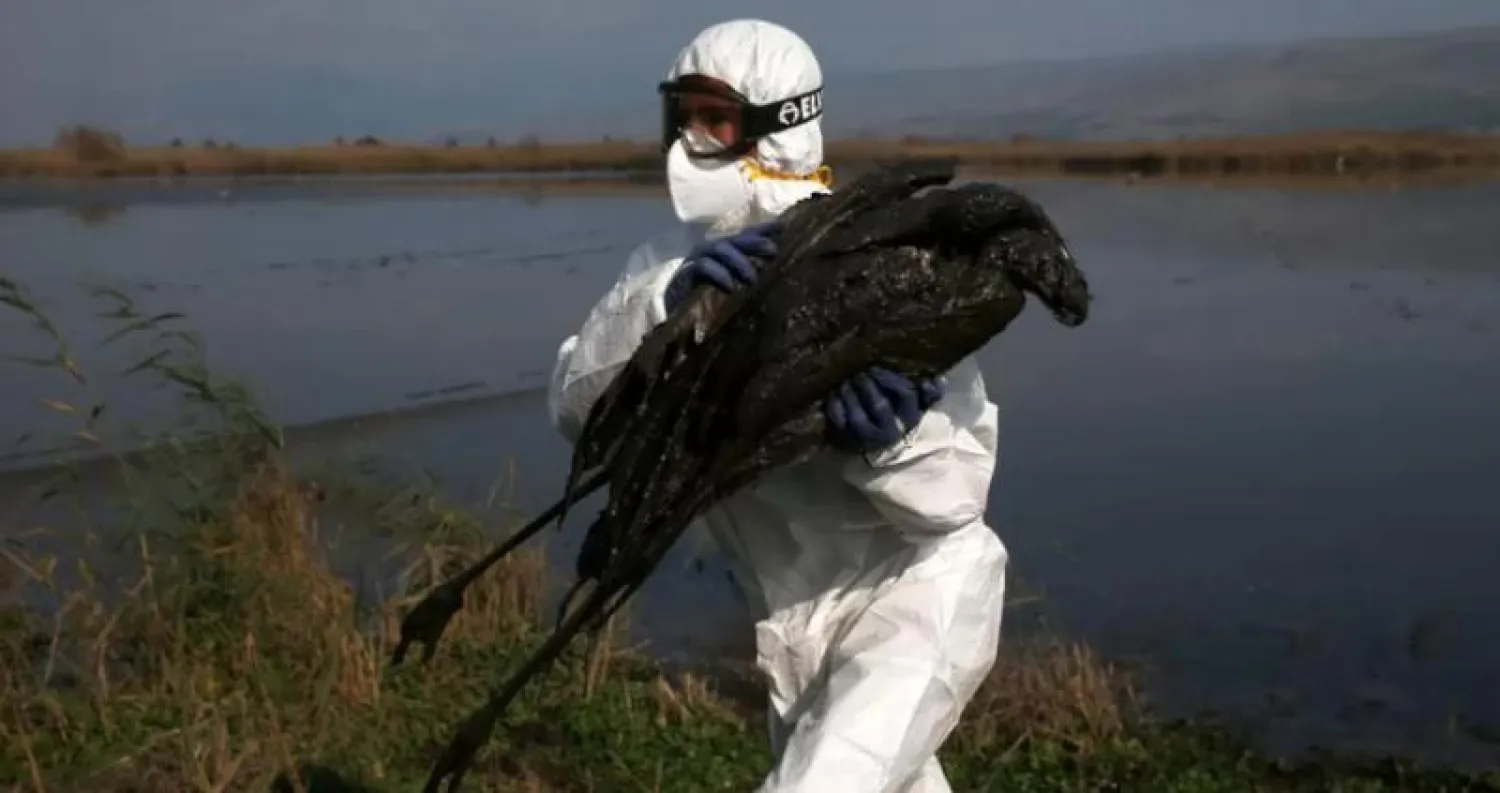 العالم يشهد تفشي غير مسبوق لإنفلونزا الطيور (غيتي)