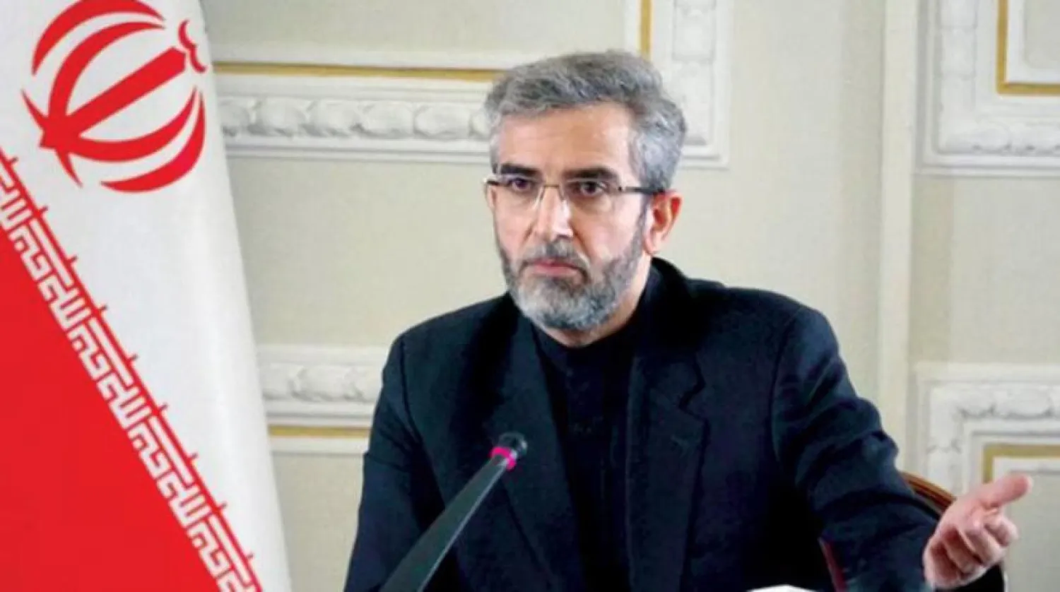 Ali Bagheri Kani (Mehr Haber Ajansı)