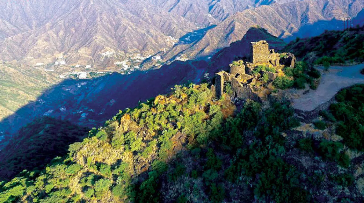 السعودية تدعو منظمة دول أفريقيا والكاريبي والمحيط الهادي للتعاون في مواجهة تحديات المناخ وخفض الانبعاثات (واس)