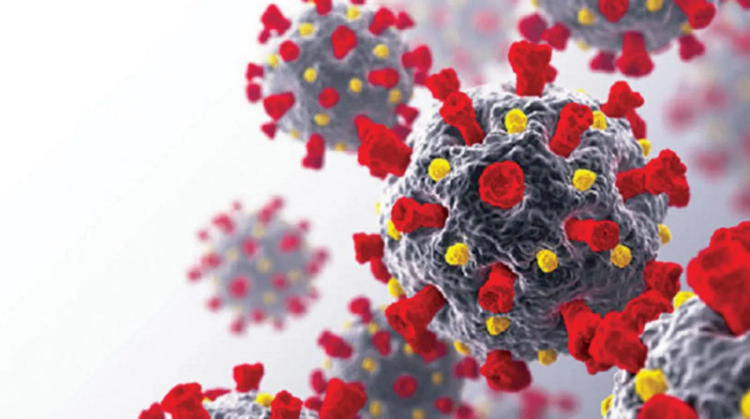 {كورونا المستجد} ينفذ للخلايا البشرية بثلاث طرق (جامعة أوتاوا)